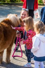 CIK - TVU - spoznaj ponija Miho, fofo Eving  (11)